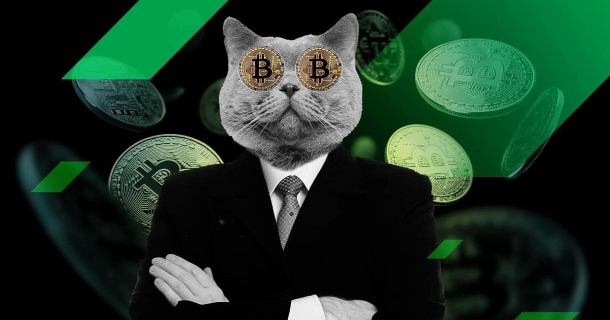 'Cá voi' Bitcoin thời Satoshi thức giấc sau 14 năm ngủ đông