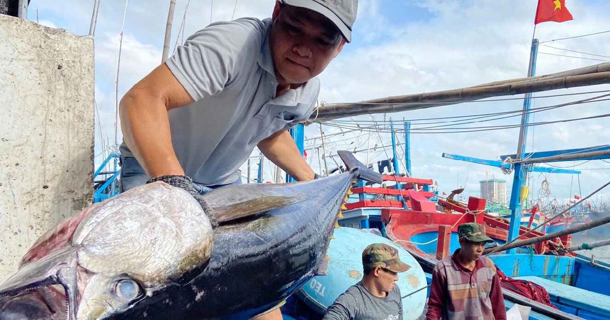 Xuất khẩu khai phá những 'mỏ vàng' mới