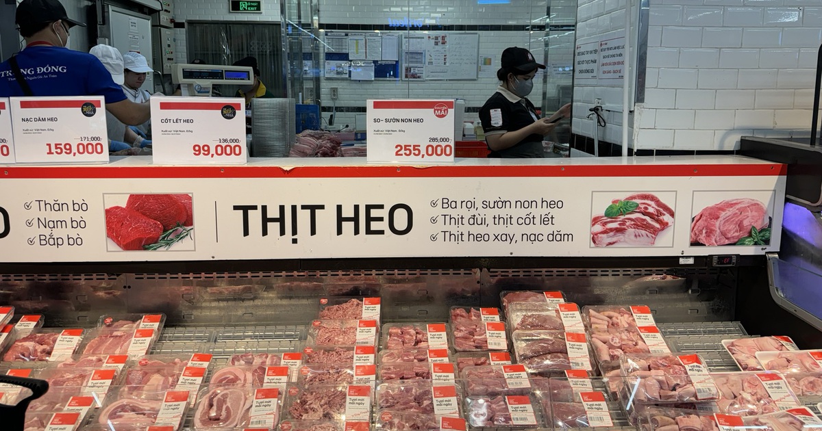 Giá heo hơi hôm nay 7.7.2025: Đà giảm đã chững lại
