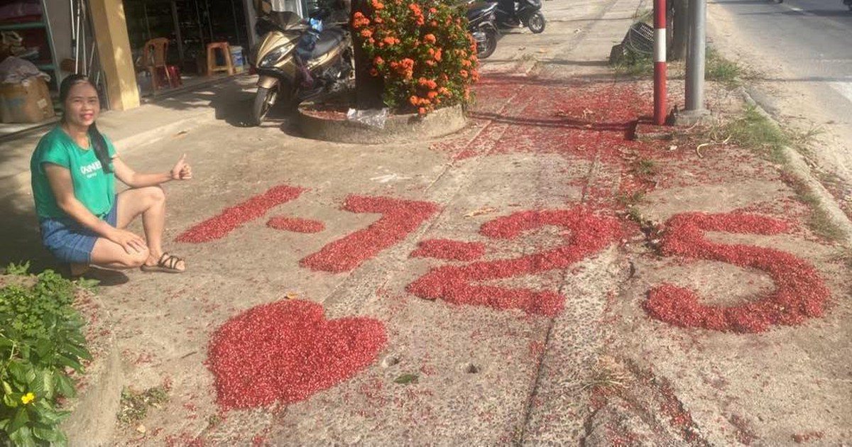 Hoa lộc vừng đỏ rực g&oacute;c phố, người d&acirc;n Quảng Trị &#039;bắt trend&#039; trổ t&agrave;i xếp h&igrave;nh