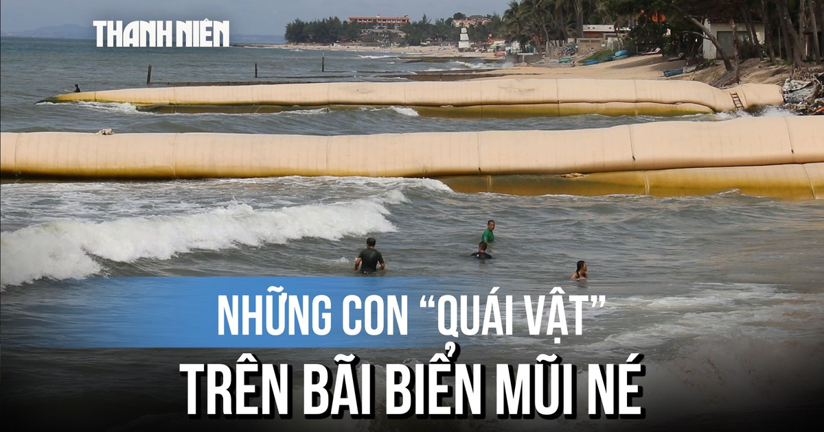 Vì sao xuất hiện những con “quái vật” trên bãi biển Mũi Né?
