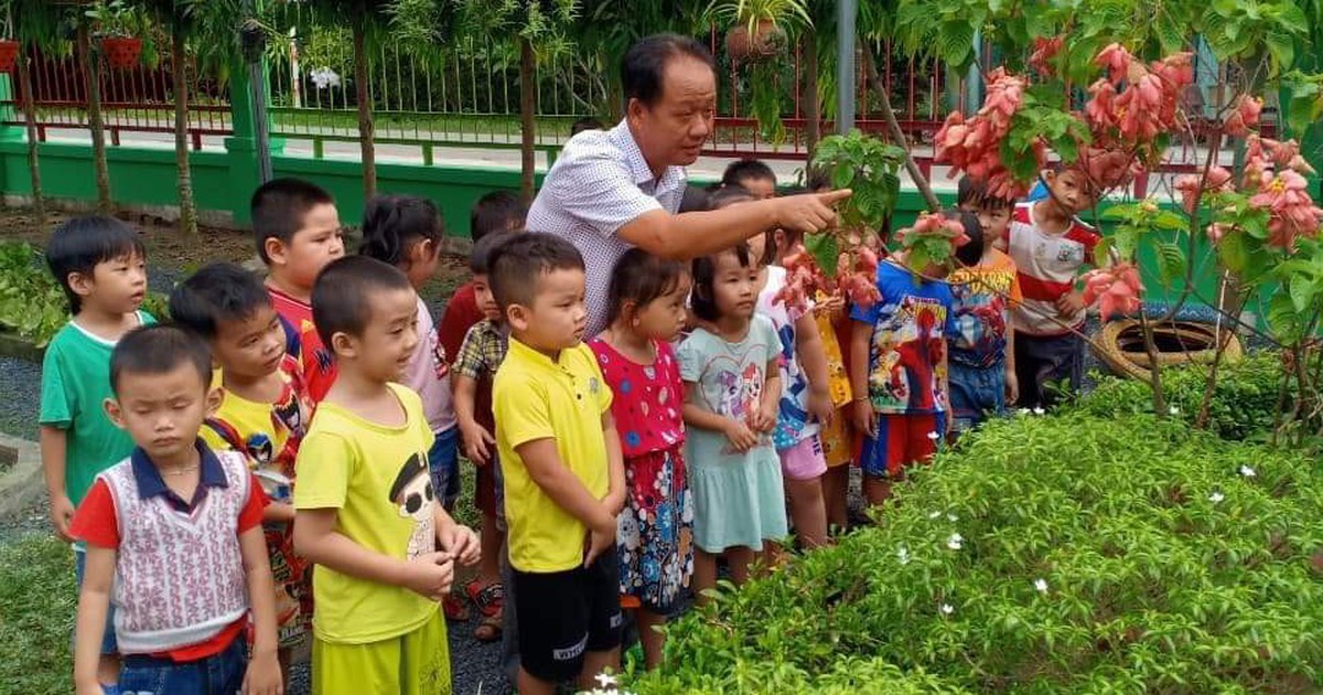 Đưa cây xanh, hoa cỏ vào không gian trường học