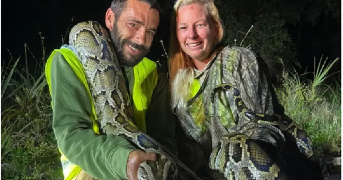 L&atilde;nh thưởng 1.000 USD nhờ bắt 87 con trăn