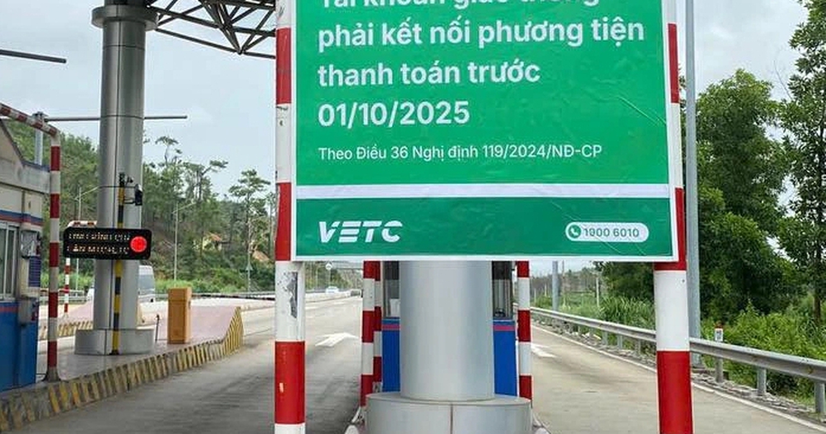 thanhnien.vn