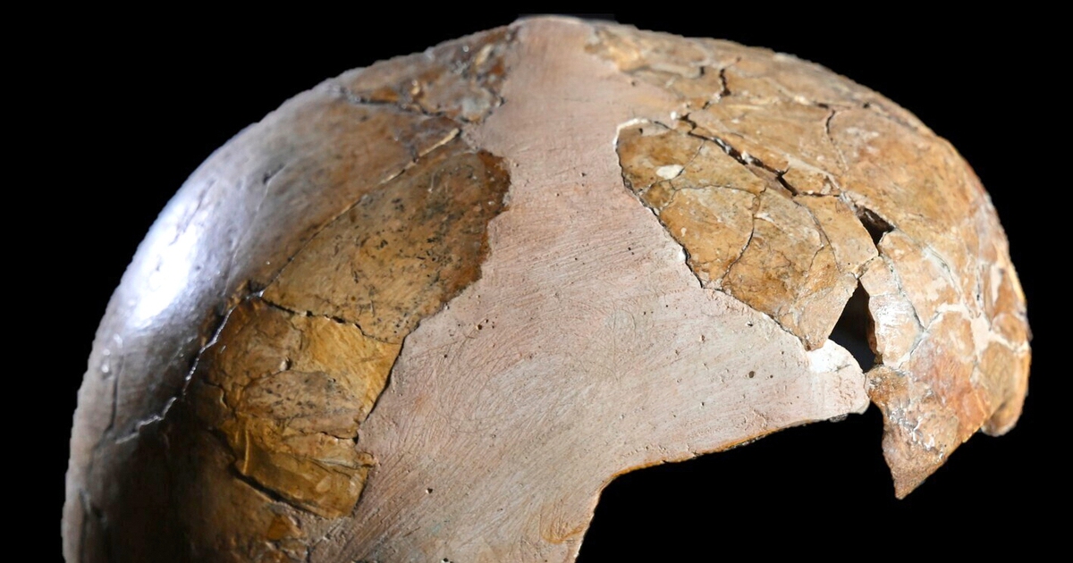 Người Neanderthal v&agrave; người hiện đại đ&atilde; c&oacute; con với nhau từ 140.000 năm trước