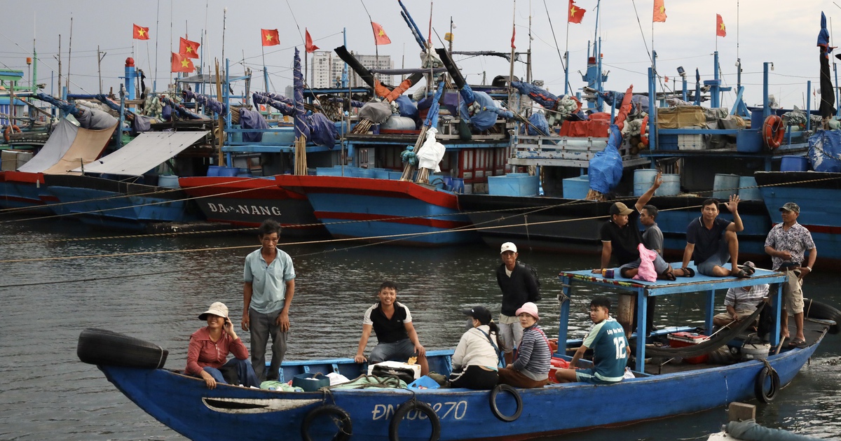 B&atilde;o số 5 &aacute;p s&aacute;t miền Trung: Ngư d&acirc;n hối hả bốc c&aacute; xuy&ecirc;n đ&ecirc;m