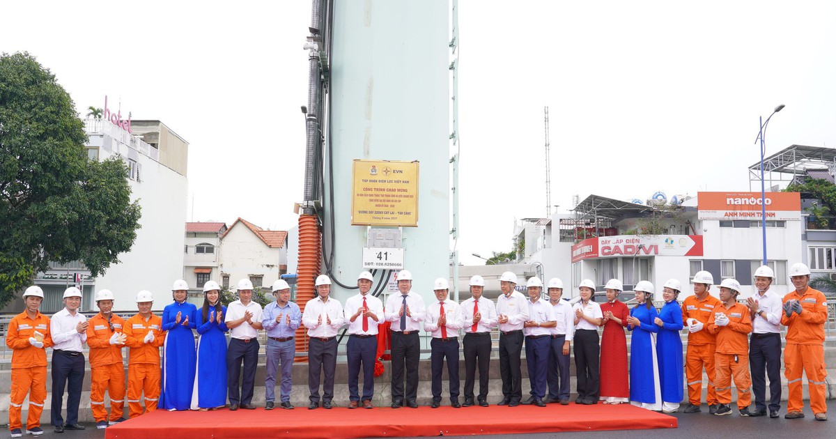 TP.HCM gắn biển ho&agrave;n th&agrave;nh đường d&acirc;y 220 kV C&aacute;t L&aacute;i - T&acirc;n Cảng hơn 800 tỉ đồng