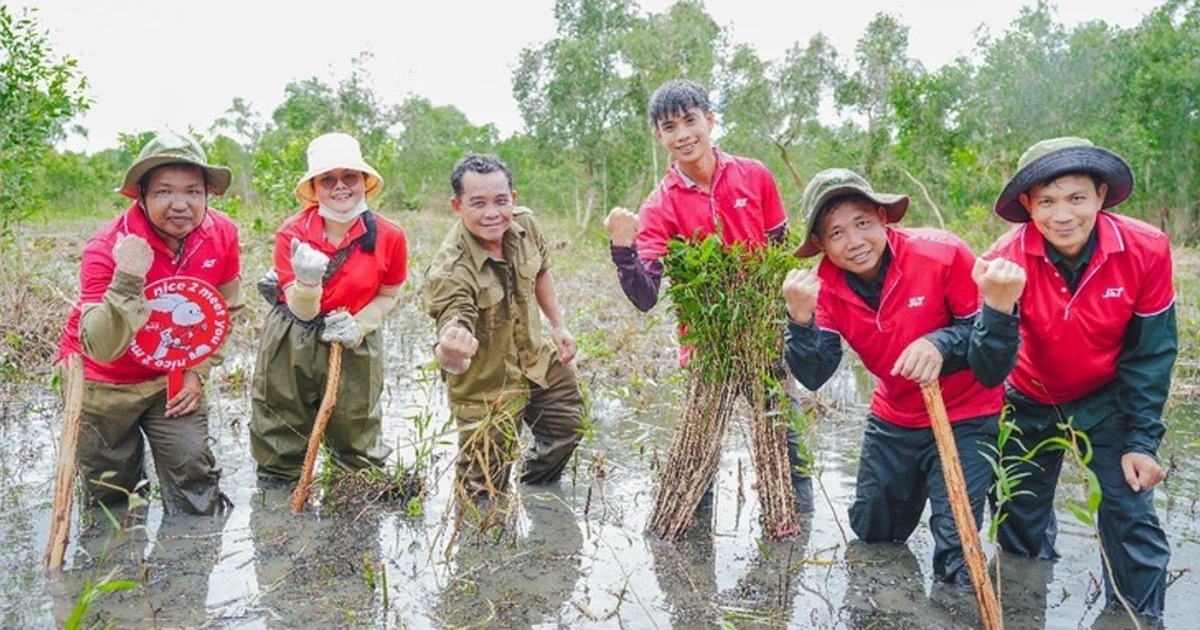 Doanh nghiệp logistics ứng dụng công nghệ và hành động xanh để giảm thải carbon