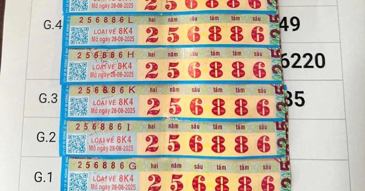 thanhnien.vn