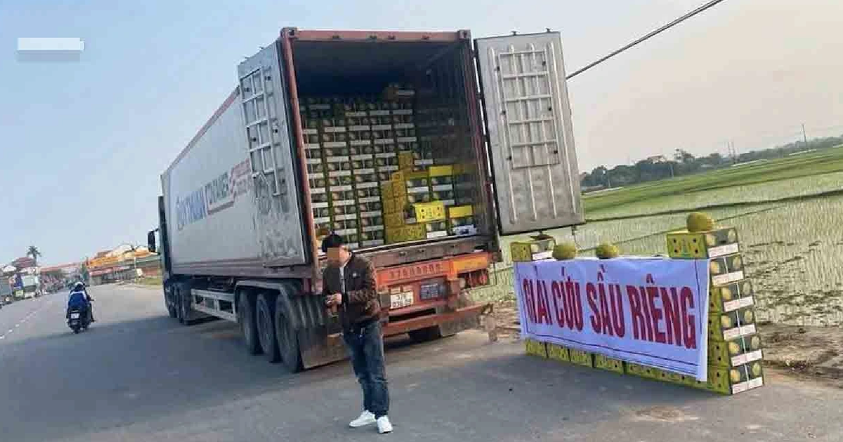 Sầu riêng xuất khẩu 'quay đầu' sẽ bị giám sát chặt