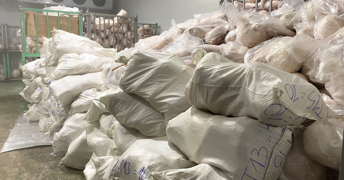 Ph&aacute;t hiện 100 tấn thịt heo đ&ocirc;ng lạnh bốc m&ugrave;i h&ocirc;i ở Gia Lai