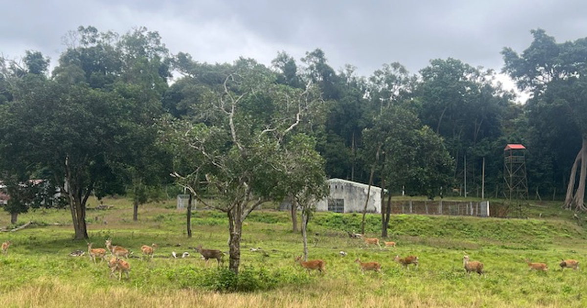 Vườn quốc gia Kon Ka Kinh: &lsquo;Vi&ecirc;n ngọc xanh&rsquo; giữa đại ng&agrave;n T&acirc;y nguy&ecirc;n