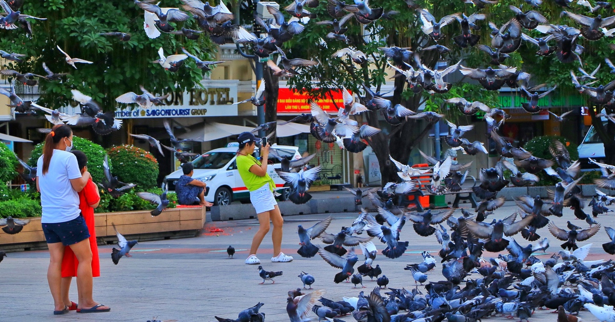 Ng&agrave;y thứ ba kỳ nghỉ tết Độc lập 2.9: Bất ngờ đường phố trung t&acirc;m TP.HCM