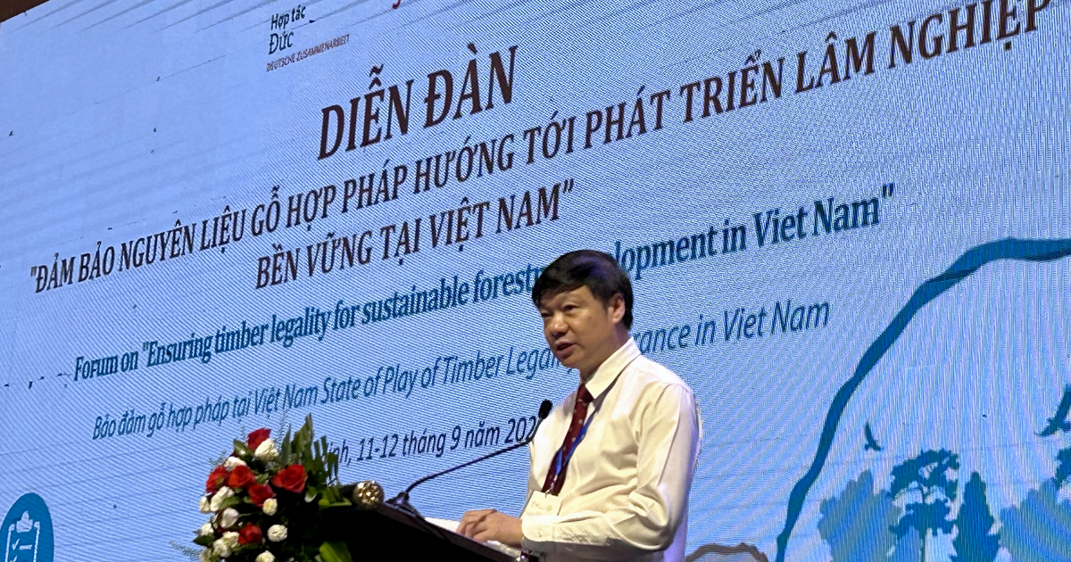 Đức, EU đồng h&agrave;nh c&ugrave;ng Việt Nam đảm bảo nguy&ecirc;n liệu gỗ xuất khẩu