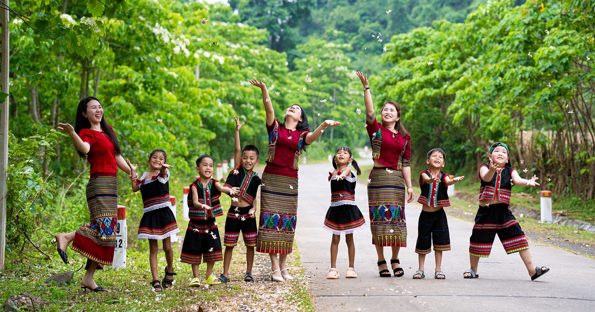 Trường Sơn kỳ th&uacute;: Mai v&agrave;ng trăm tuổi, hoa ng&ocirc; đồng... nở rực giữa đại ng&agrave;n