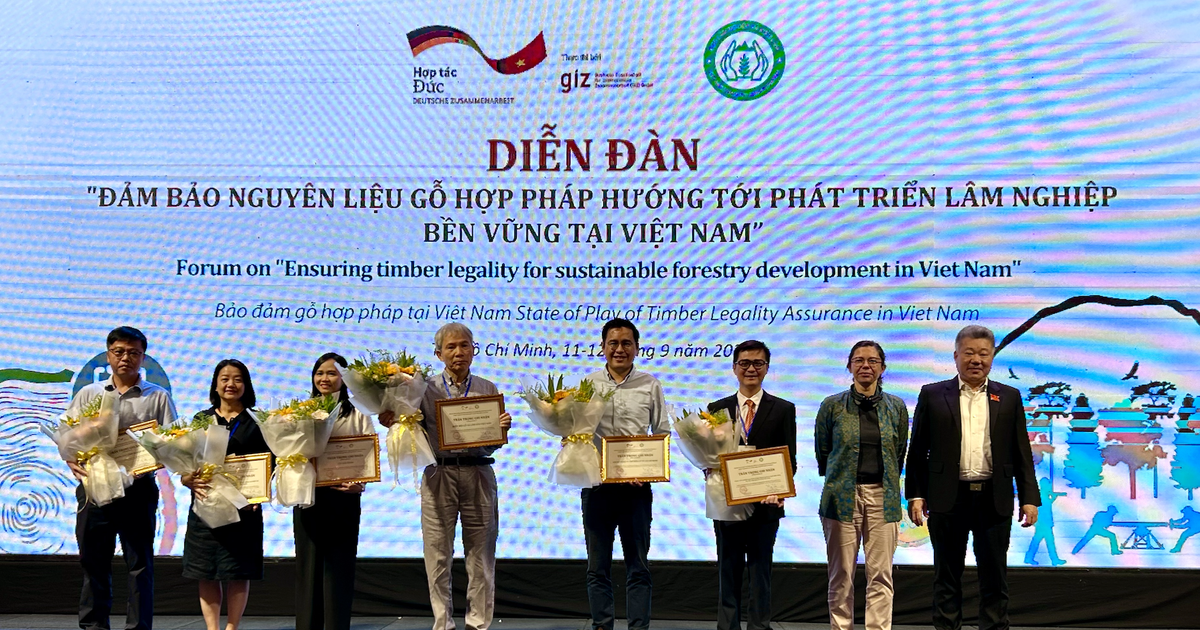 Ng&agrave;nh nguy&ecirc;n liệu gỗ Việt Nam tự tin hơn nhờ dự &aacute;n hợp t&aacute;c với Đức