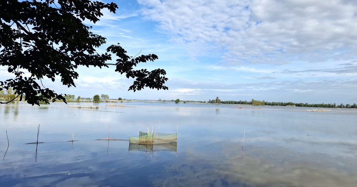 Miền T&acirc;y m&ugrave;a nước lụt năm xưa: C&aacute; r&ocirc; đầy ruộng, người d&acirc;n giăng lưới khắp đồng