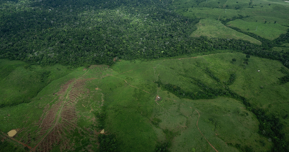 Tầng ozone tr&ecirc;n đ&agrave; hồi phục, rừng Amazon lại thu hẹp đ&aacute;ng kể