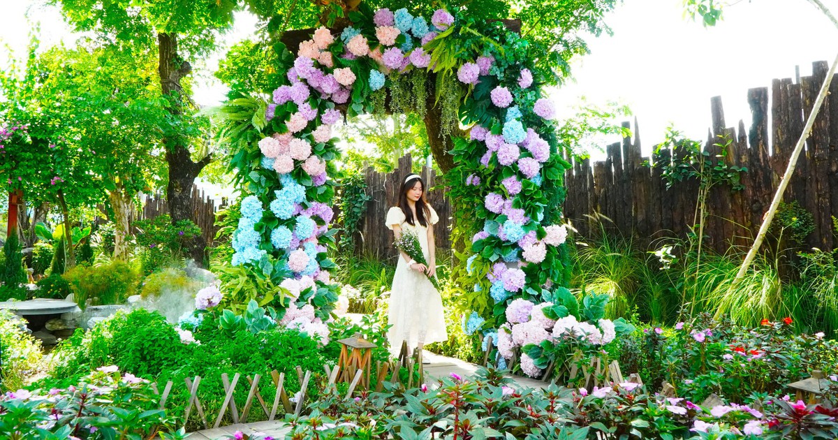 Quán cà phê ở Cần Thơ có nhiều hoa lá như Đà Lạt