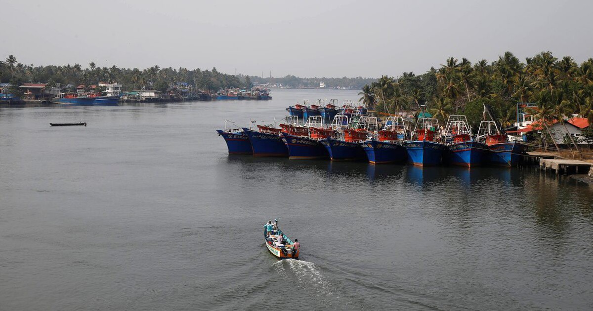 Ấn Độ b&aacute;o động v&igrave; k&yacute; sinh tr&ugrave;ng &#039;ăn n&atilde;o&#039; hiếm gặp lan rộng