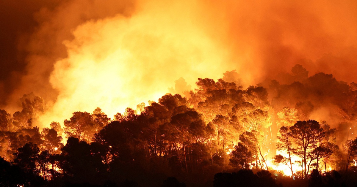 Kh&oacute;i ch&aacute;y rừng c&oacute; thể giết chết 1,4 triệu người mỗi năm v&agrave;o cuối thế kỷ 21