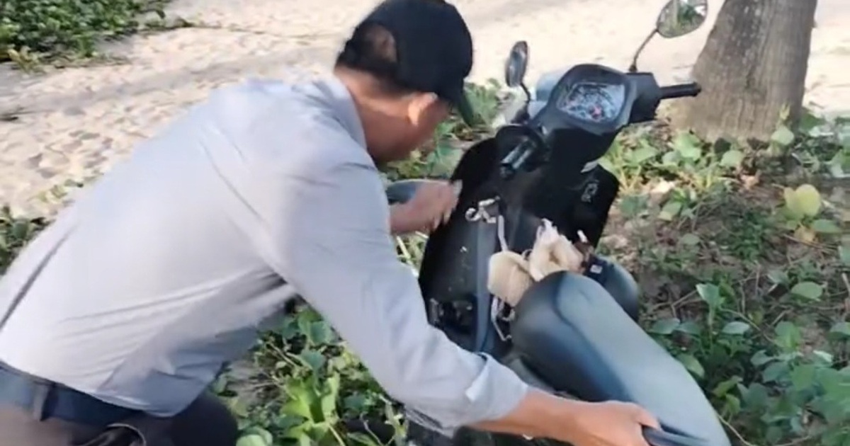 Thực hư clip du kh&aacute;ch tố nh&acirc;n vi&ecirc;n &#039;x&ocirc; đổ&#039; xe m&aacute;y xuống b&atilde;i biển Đ&agrave; Nẵng