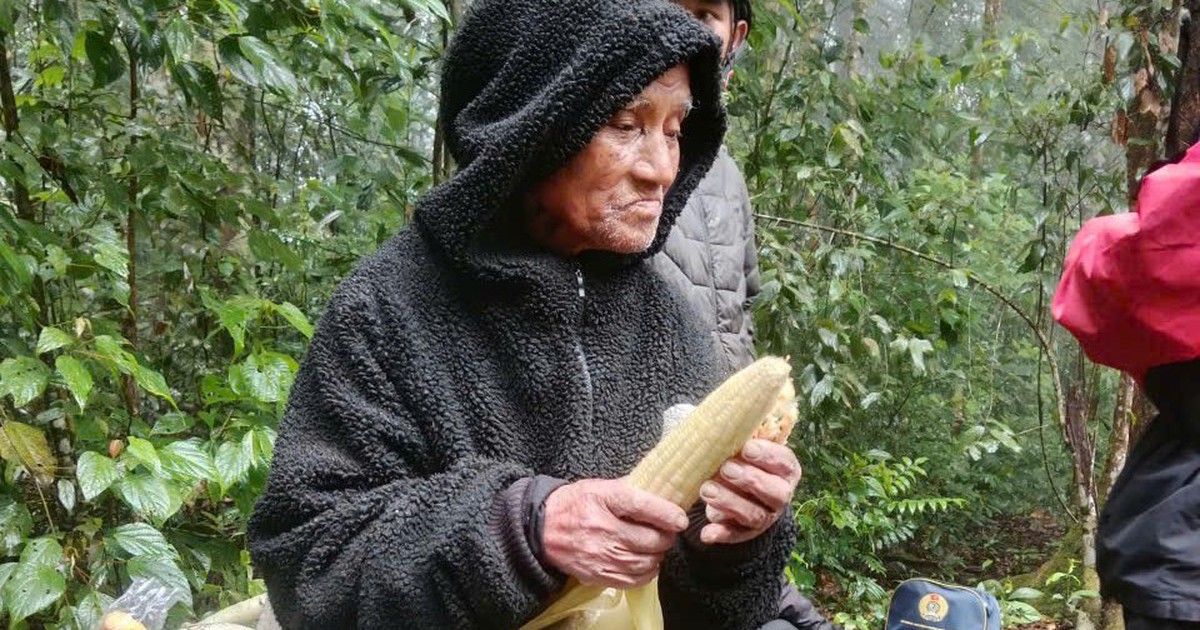 Cụ &ocirc;ng 78 tuổi sống s&oacute;t kỳ diệu sau 6 ng&agrave;y lạc giữa rừng s&acirc;u
