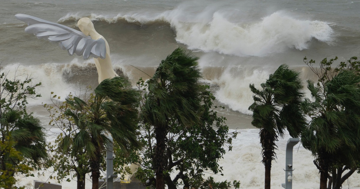 Trung Quốc sơ t&aacute;n 2 triệu người trước si&ecirc;u b&atilde;o Ragasa