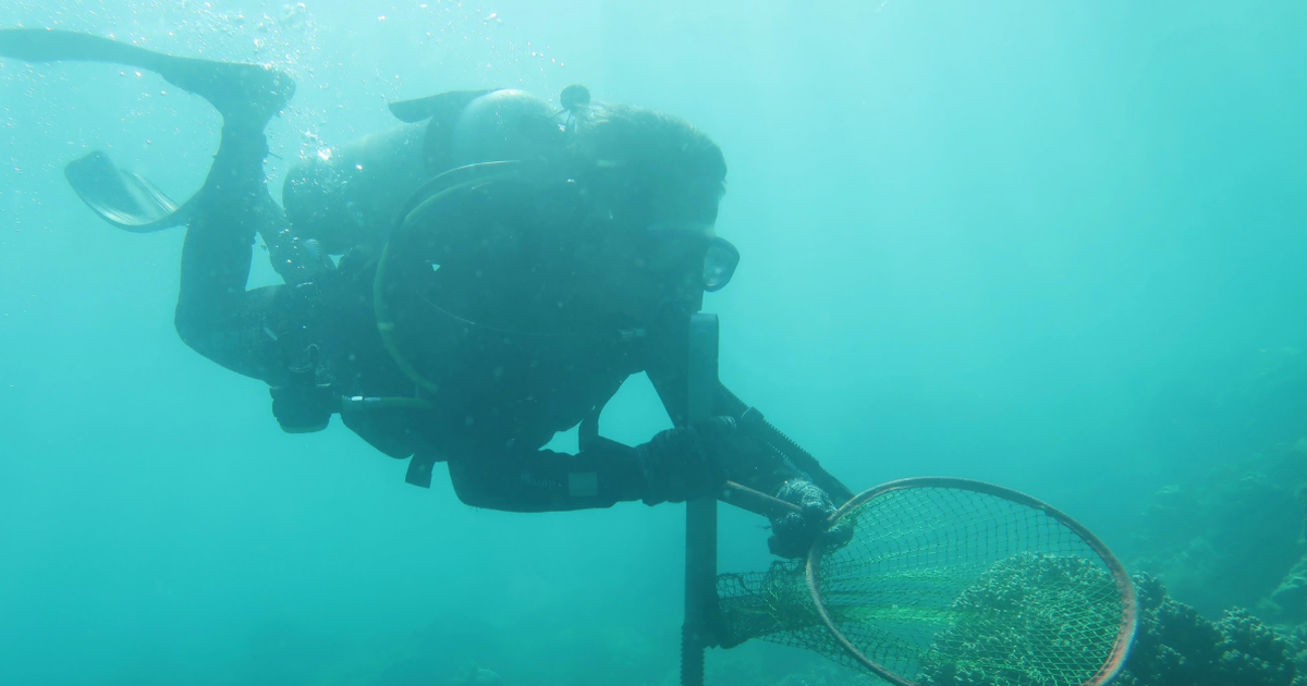 Một người tử vong, 1 người nguy kịch sau sự cố lặn biển ở Quảng Trị