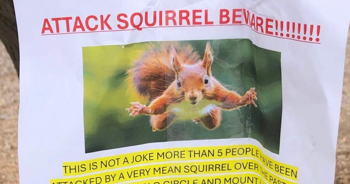 Nhập viện cấp cứu v&igrave; bị s&oacute;c tấn c&ocirc;ng bất ngờ