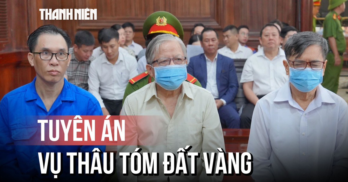 Tuyên án vụ thâu tóm đất ‘vàng’ tại TP.HCM: Đinh Trường Chinh lãnh 13 năm tù