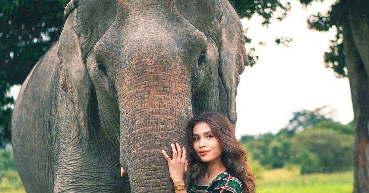 &#039;Hoa hậu&#039; voi H&rsquo;T&acirc;u với đ&ocirc;i mắt biết n&oacute;i chinh phục du kh&aacute;ch T&acirc;y nguy&ecirc;n