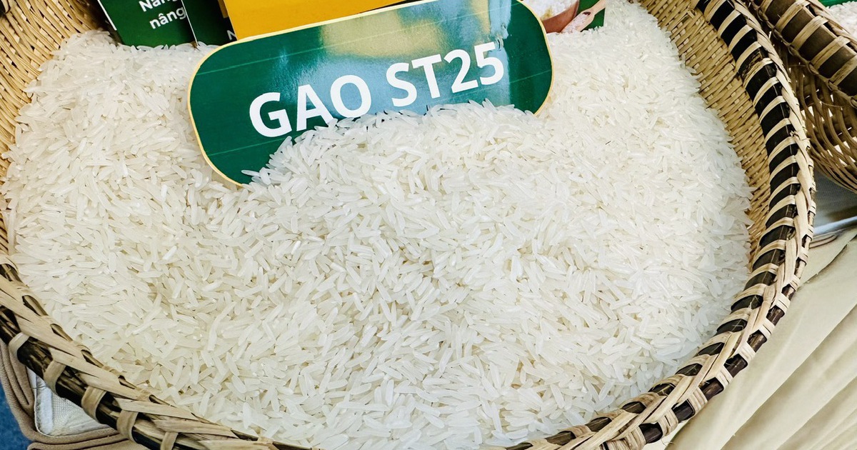 Philippines muốn tăng thuế nhập khẩu gạo, Ấn Độ thu phí xuất khẩu