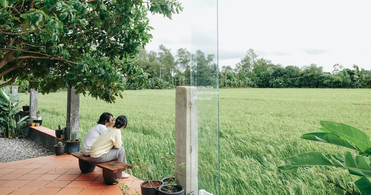 Quán cà phê hương đồng gió nội 'níu chân' giới trẻ Cần Thơ