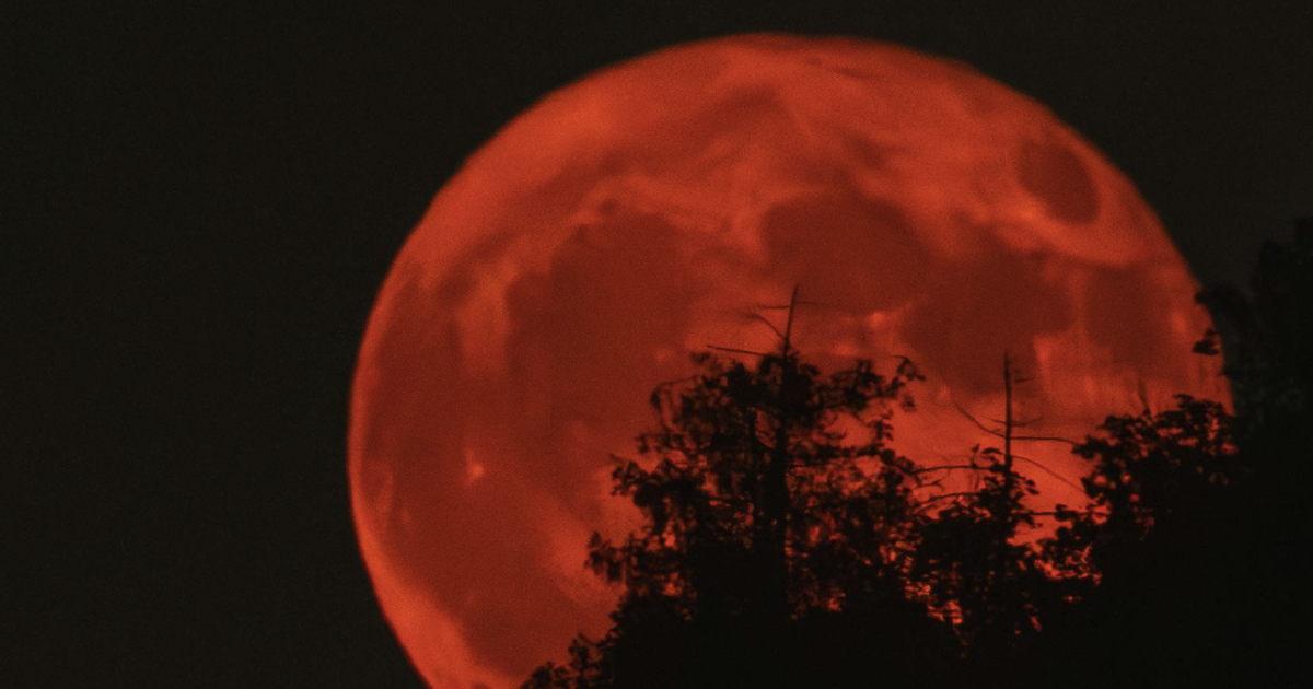 7 tỉ người sắp nh&igrave;n thấy nguyệt thực: Giải m&atilde; chuyện mặt trăng đỏ như m&aacute;u