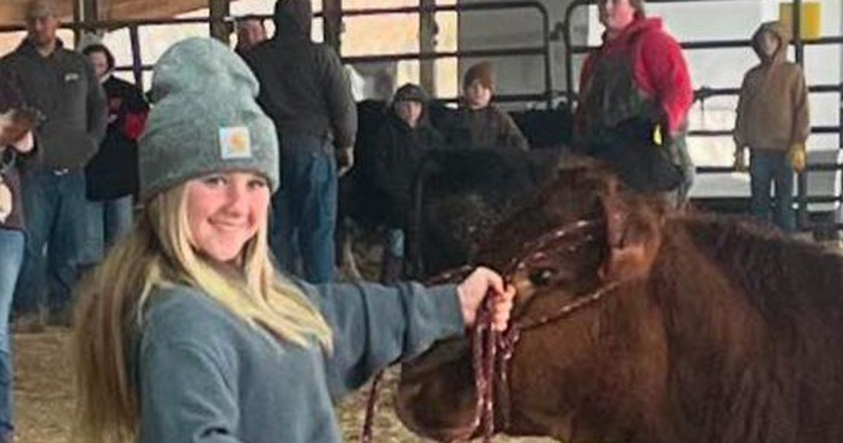 Bắn chim, đạn lạc l&agrave;m con g&aacute;i thiệt mạng