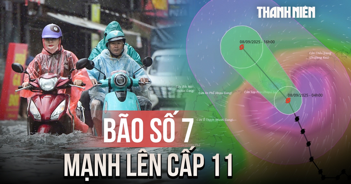 Bão số 7 (Tapah) mạnh lên cấp 11, miền Bắc có nơi mưa lớn trên 300 mm