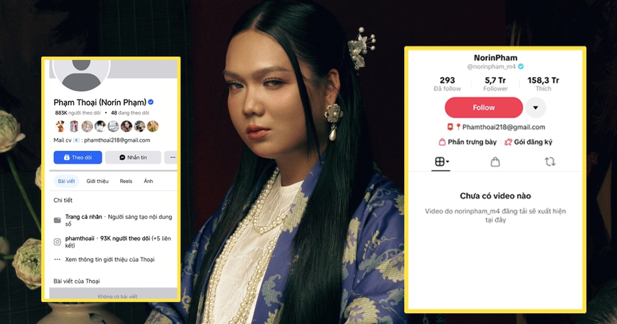 Phạm Thoại xóa tất cả video trên TikTok, Facebook