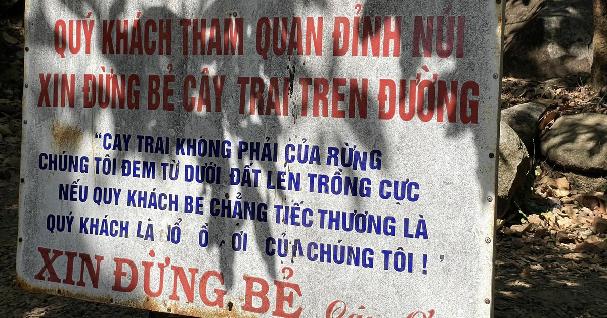 Leo núi Bà Đen thấy bảng 'check-in thì sang, hái trộm thì kém': Bạn nghĩ gì?