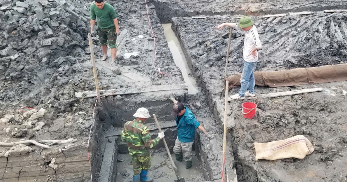 Phát hiện bãi cọc gỗ trong khu di tích đền Kiếp Bạc