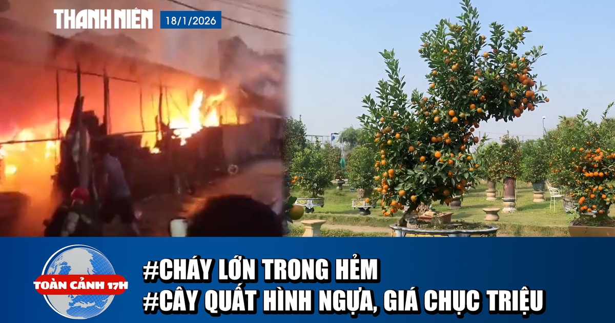 Toàn cảnh 17h: Cháy lớn trong hẻm, cư dân hoảng loạn | Chiêm ngưỡng cây quất hình con ngựa giá chục triệu