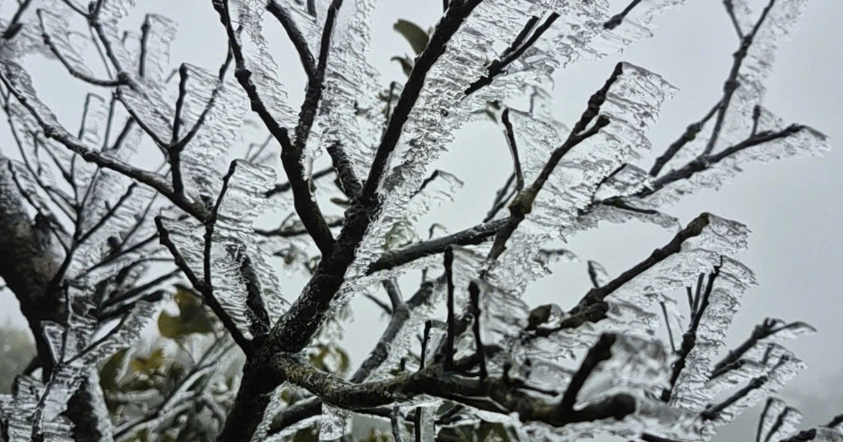 Băng giá trên đỉnh Mẫu Sơn hút khách du lịch check-in