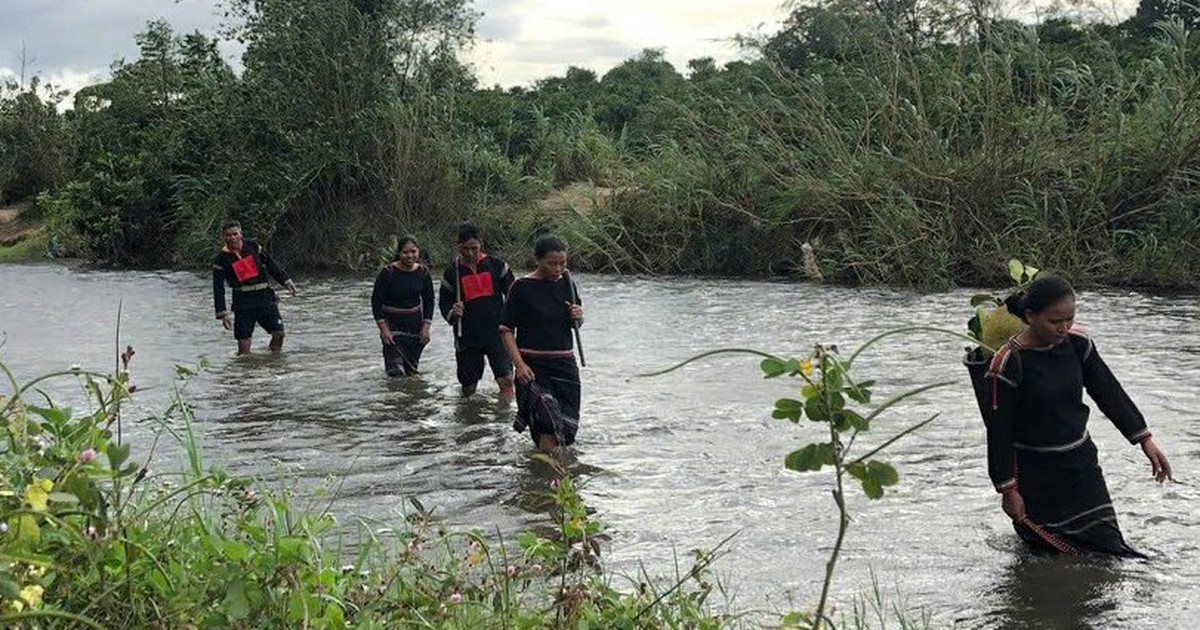 Khi đại đoàn kết được kể bằng 'mít non - cá chuồn'