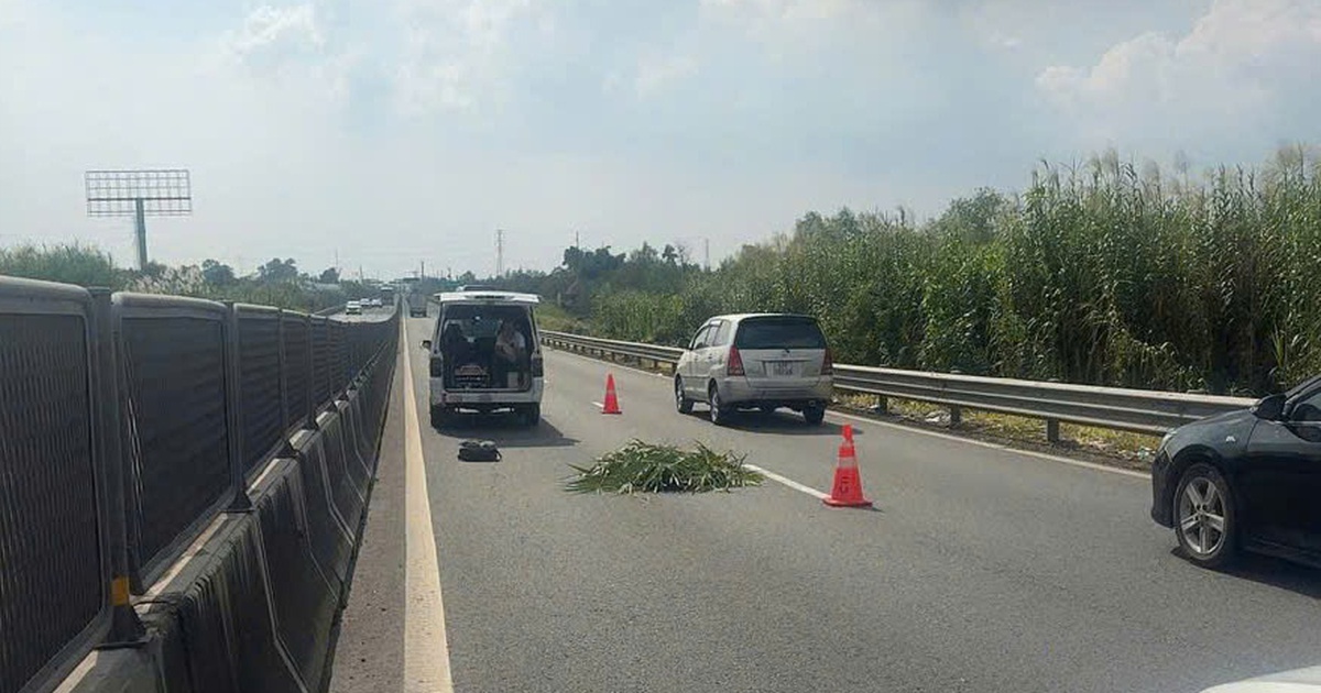 Bắt giữ 2 người liên quan vụ thi thể người nước ngoài trên cao tốc Trung Lương