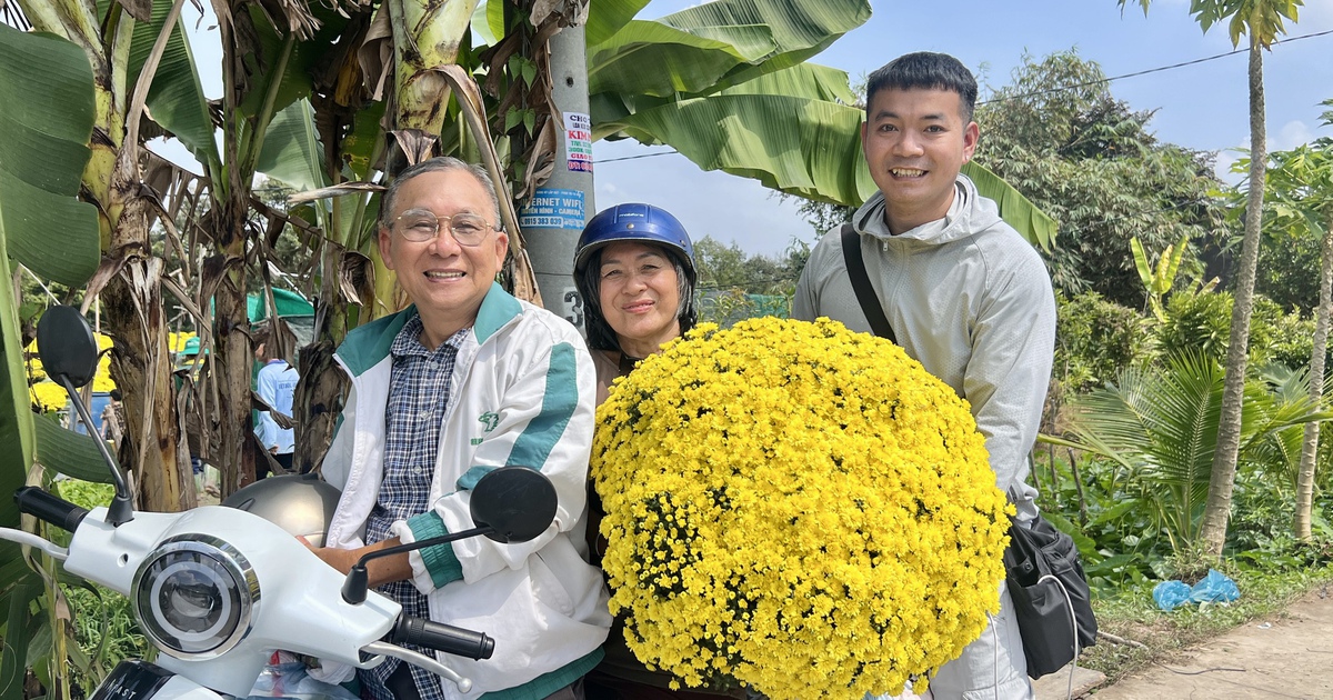 Rủ nhau về tận vườn giải cứu hoa tết nở sớm: Miền Tây không xa