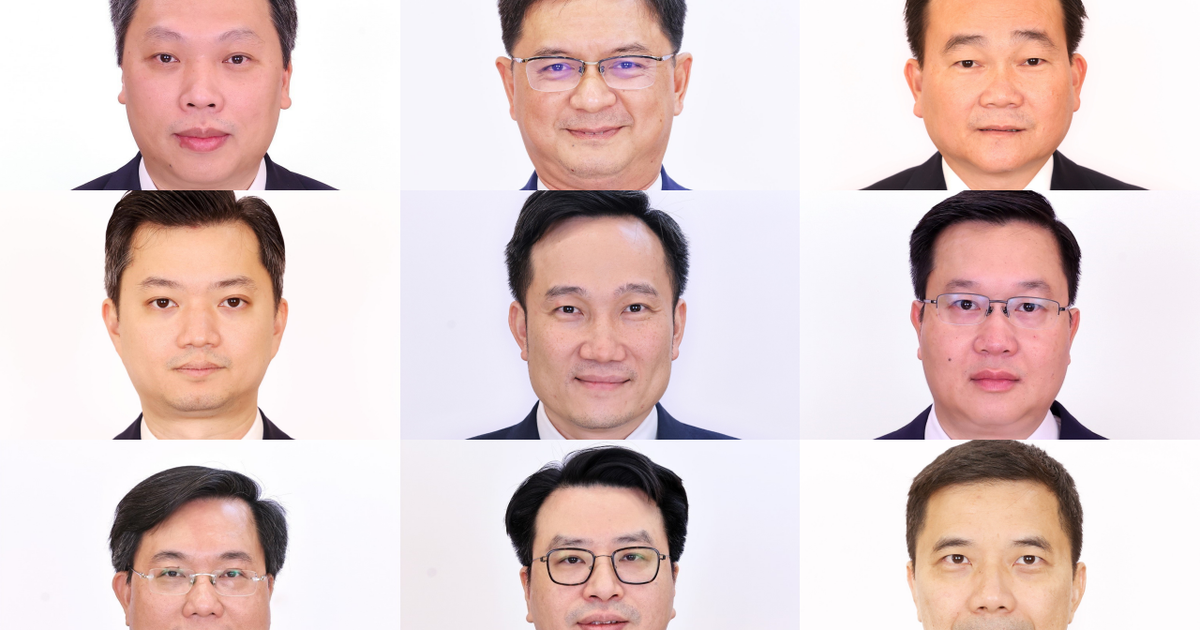 Chân dung 20 ủy viên dự khuyết Trung ương Đảng khóa XIV