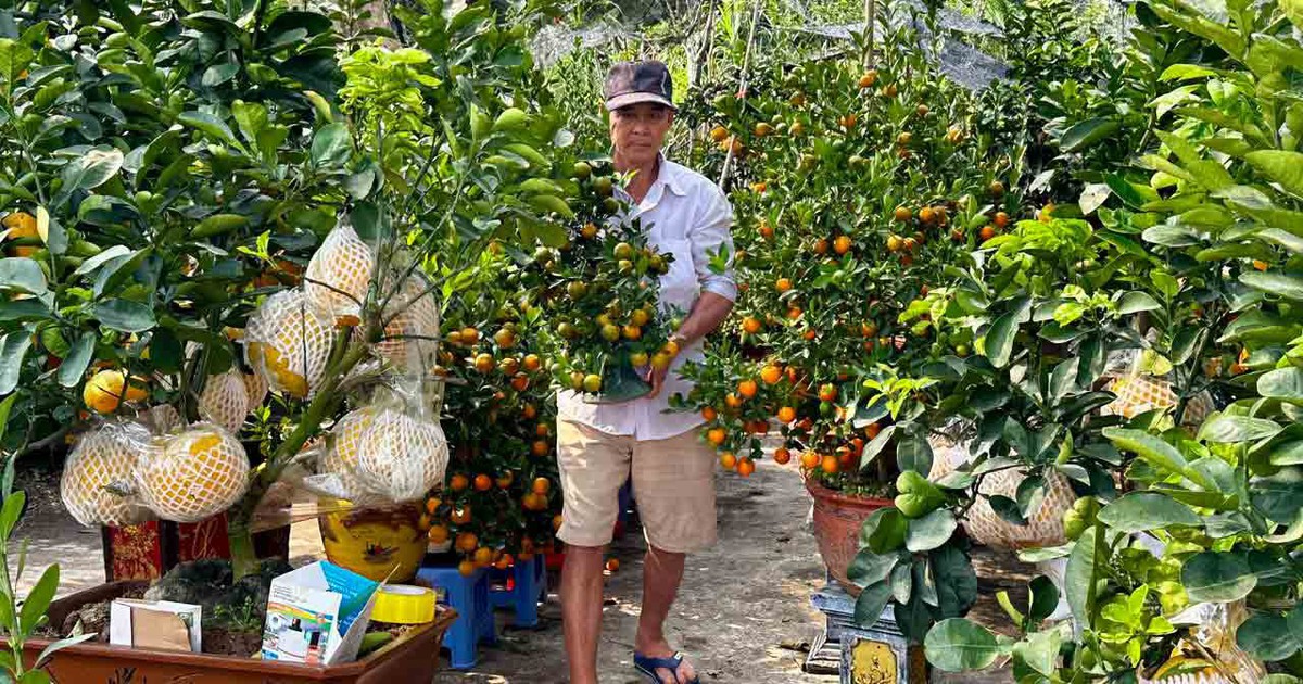 Nhà vườn hoa kiểng phập phồng vì thời tiết