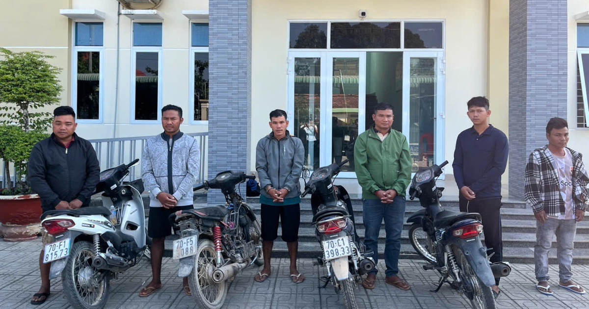 Phá đường dây cho người nước ngoài nhập cảnh trái phép, bắt giữ nhiều nghi phạm