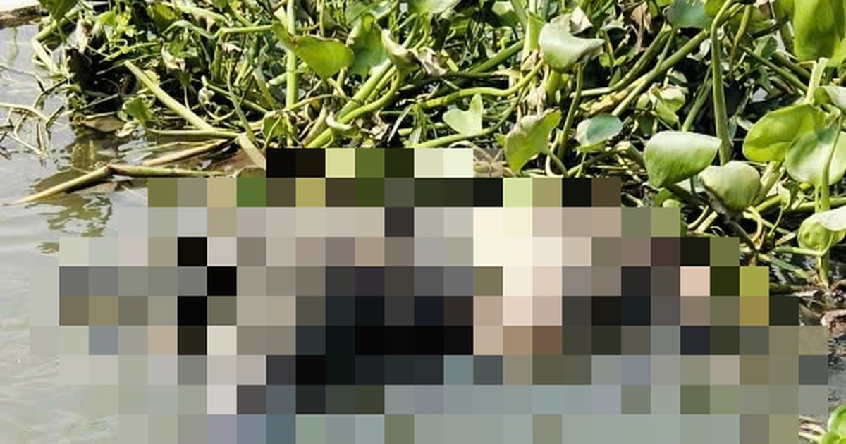 Sau cuộc gọi với bố, nam thanh niên ở TP.HCM được phát hiện tử vong dưới sông