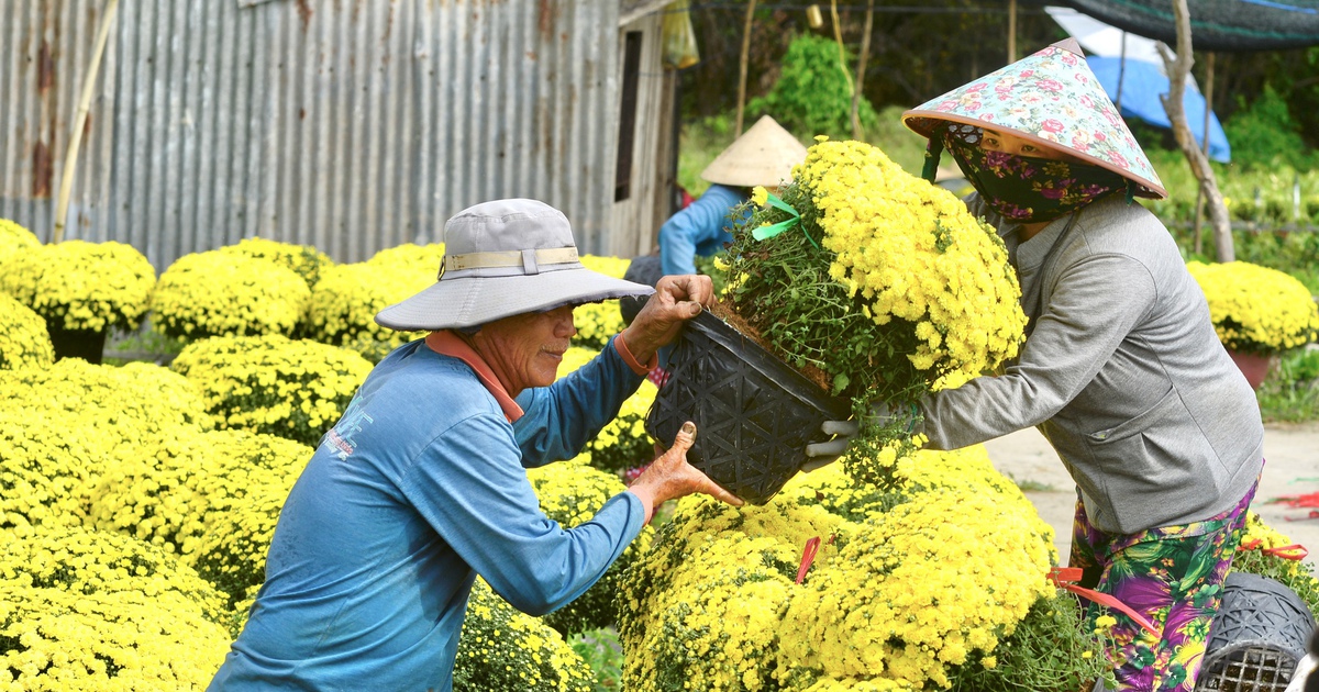 Ai đã giải cứu hơn 4.000 chậu hoa tết nở sớm chỉ trong 1 ngày?